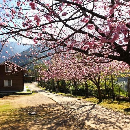 Umas HostelXinyi エクステリア 写真