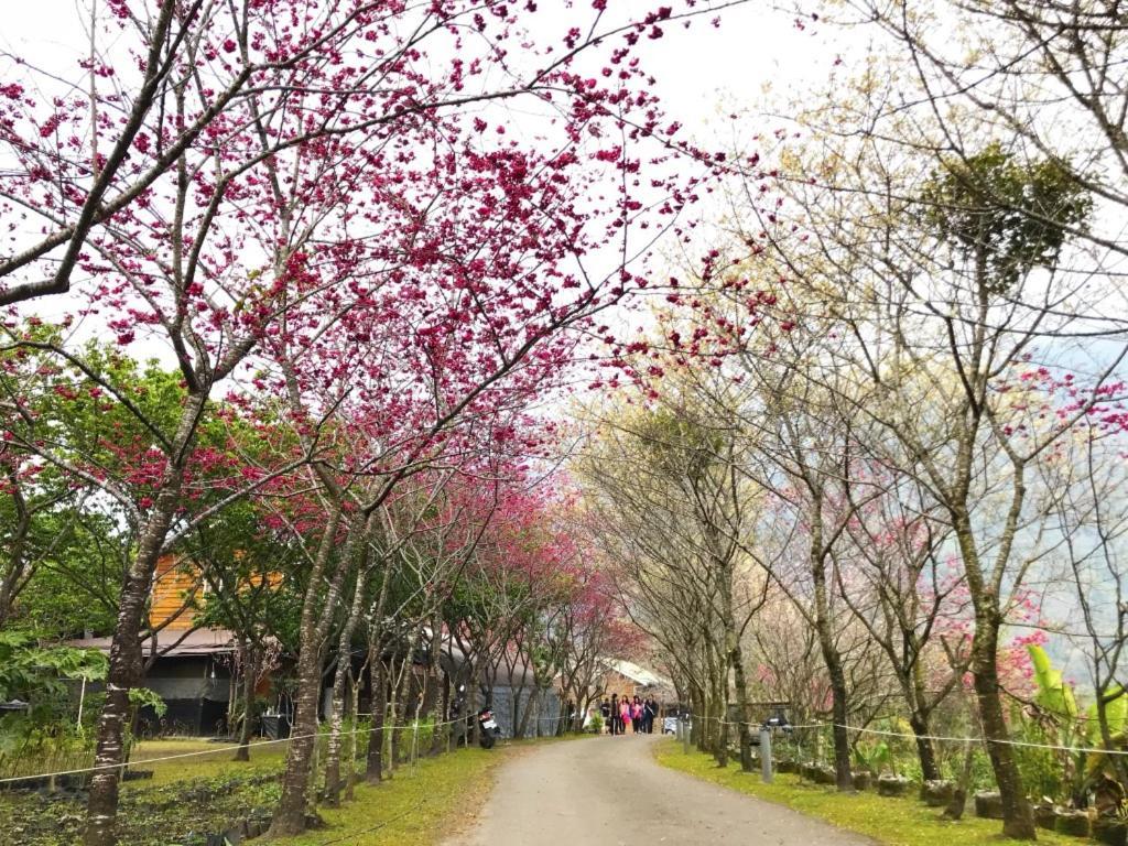 Umas HostelXinyi エクステリア 写真